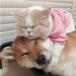 Avatar of Nimra Hussain